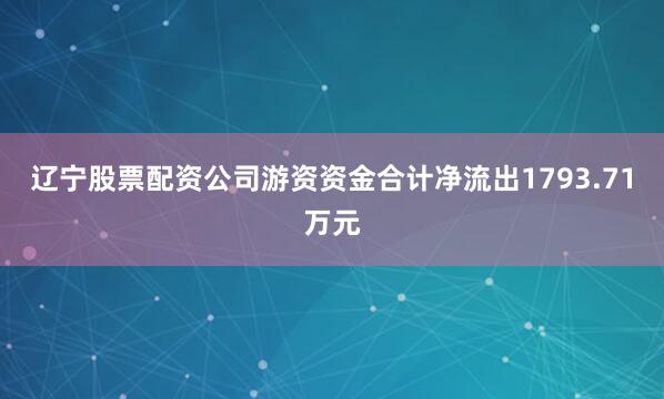 辽宁股票配资公司游资资金合计净流出1793.71万元